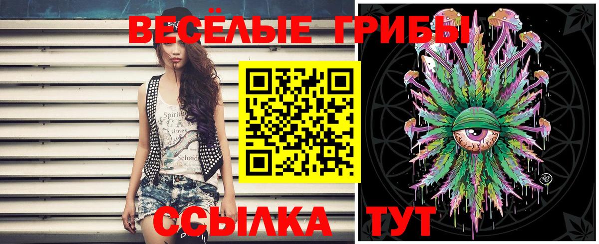 Зима  Галлюциногенные грибы ЛСД  Псилоцибиновые грибы Psilocybine cubensis  Вход с VPN 